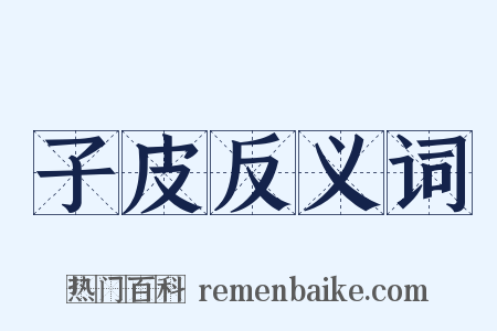子皮反义词是什么意思的图片